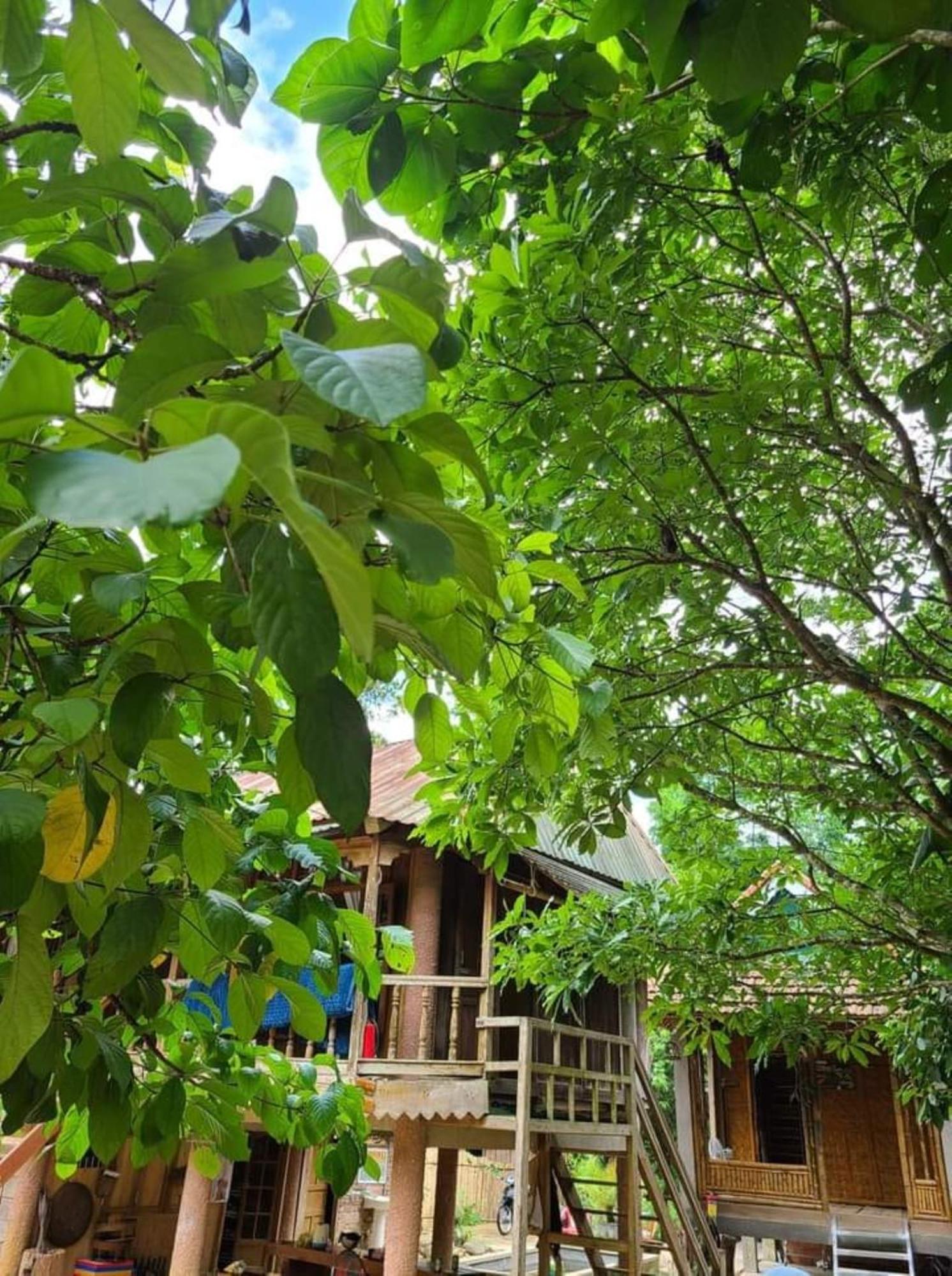 A Luoi Homestay Ho Son - Thac Anor מראה חיצוני תמונה